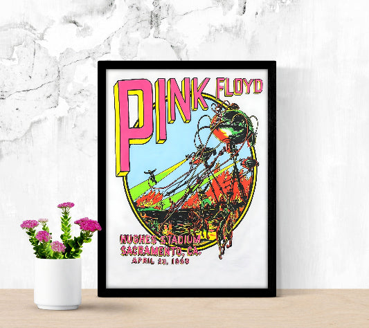 Pink Floyd at Hughes Stadium Sacramento CA 1988 framed poster