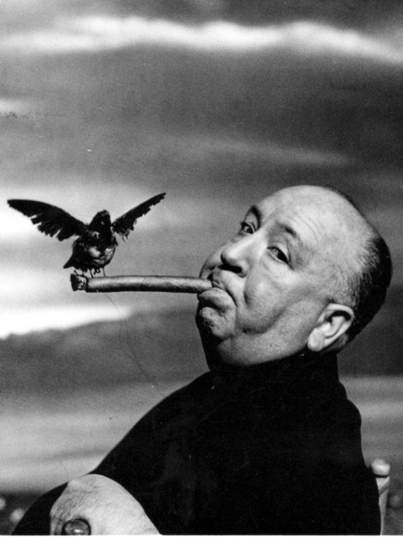 Alfred Hitchcock (The Birds) - poster