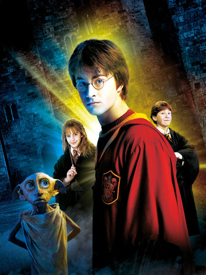 Harry Potter And The Chamber of Secrets paper poster