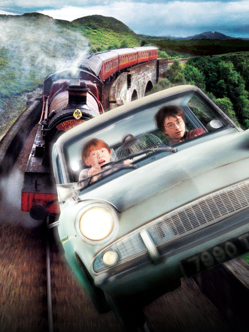 Harry Potter And The Chamber of Secrets paper poster