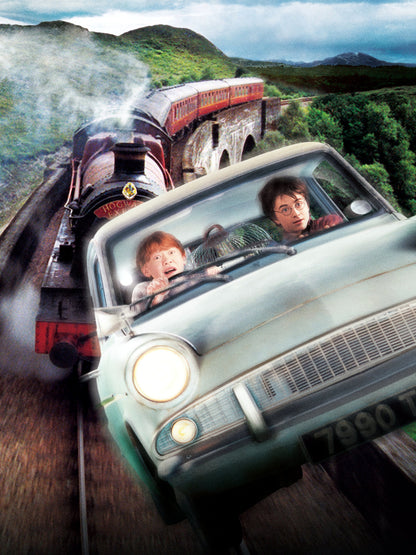 Harry Potter And The Chamber of Secrets paper poster