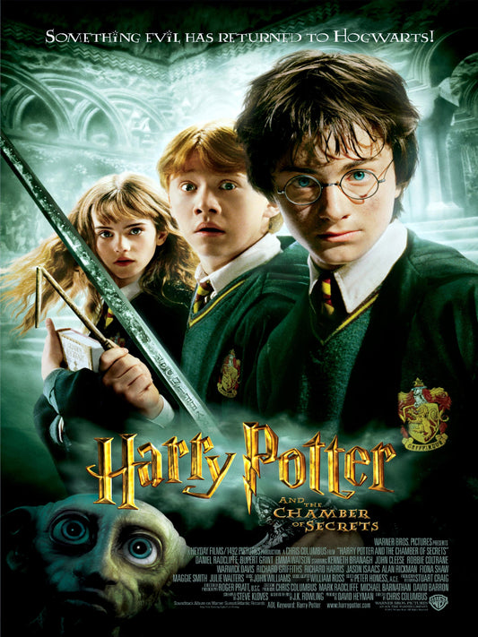 Harry Potter And The Chamber of Secrets paper poster