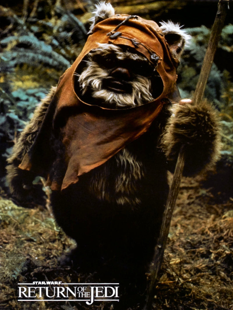 Star Wars Episode VI Return of The Jedi paper poster