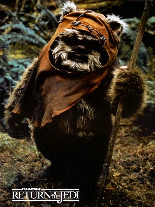 Star Wars Episode VI Return of The Jedi paper poster