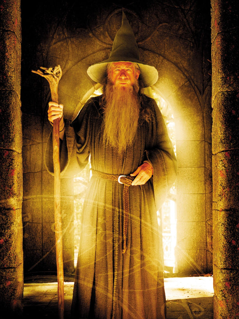 The Lord of the Rings The Fellowship of The Ring paper poster