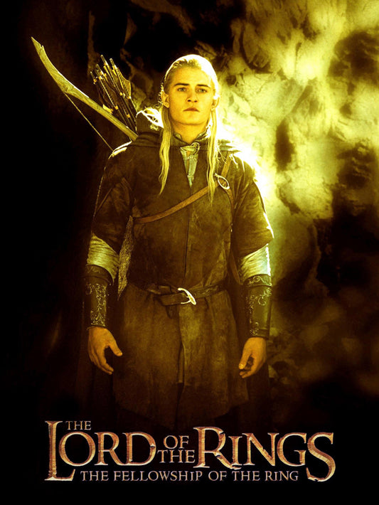 The Lord of the Rings The Fellowship of The Ring paper poster