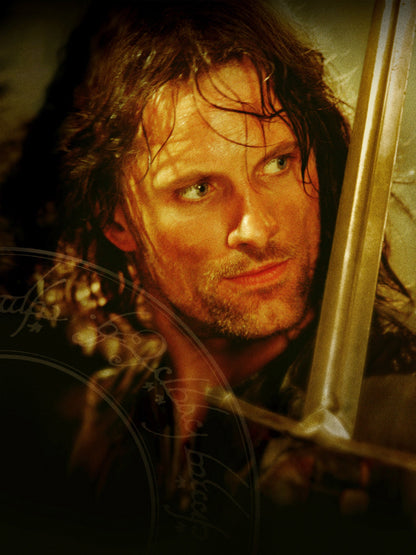 The Lord of the Rings The Fellowship of The Ring paper poster