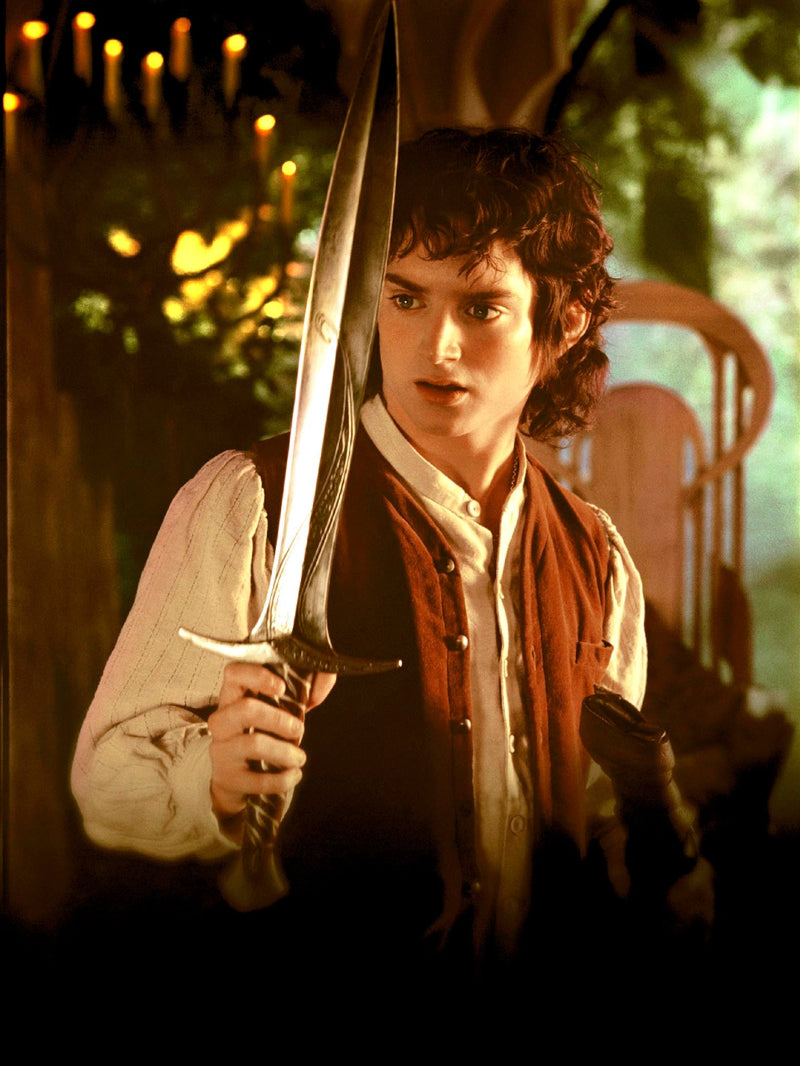 The Lord of the Rings The Fellowship of The Ring paper poster