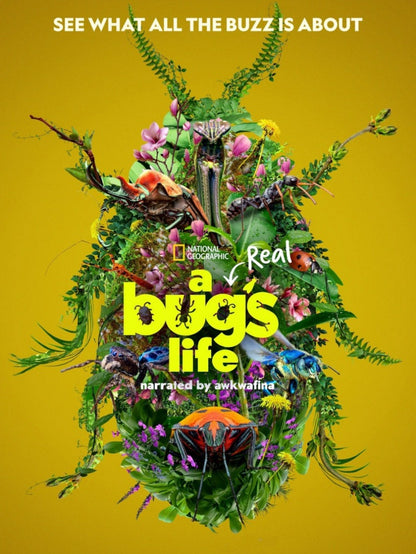 A Real Bug's Life - poster