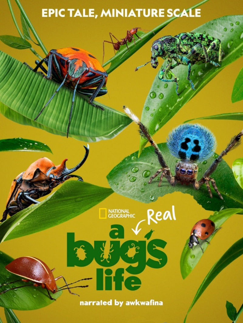 A Real Bug's Life - poster