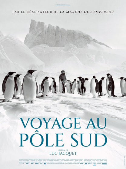 Voyage au pôle sud - poster