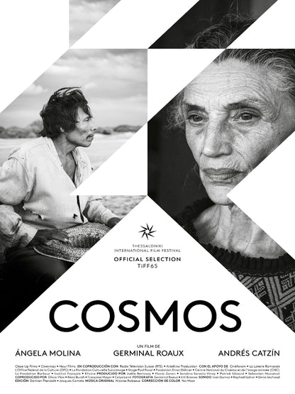 Cosmos paper poster