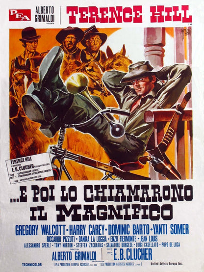 E poi lo chiamarono il magnifico - poster