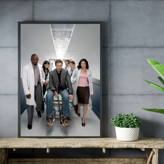 House MD framed poster