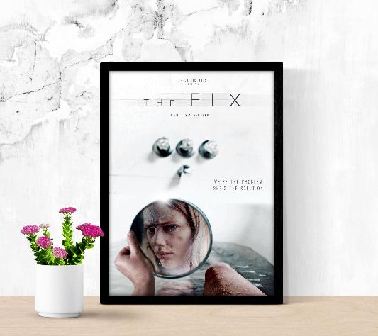 The Fix framed poster