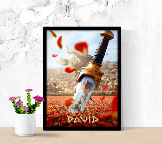 David framed poster