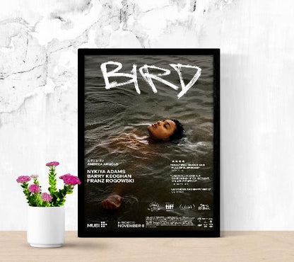 Bird framed poster