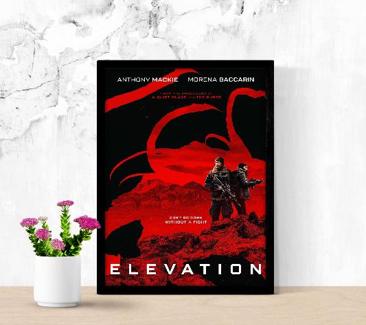 Elevation framed poster