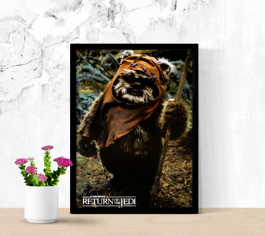 Star Wars Episode VI Return of The Jedi framed poster