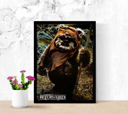 Star Wars Episode VI Return of The Jedi framed poster