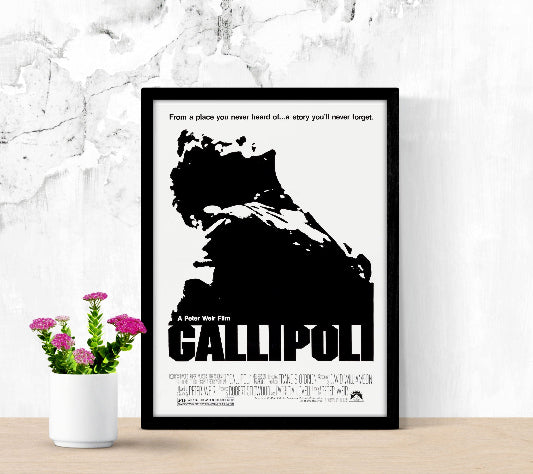 Gallipoli framed poster