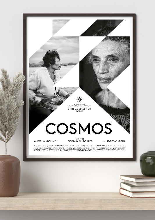Cosmos framed poster