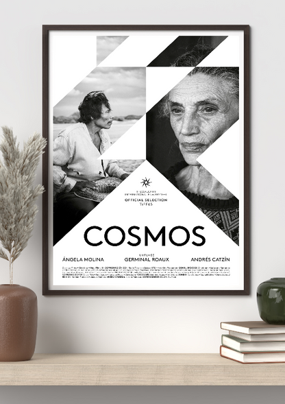 Cosmos framed poster