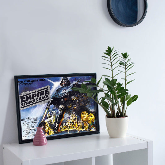 Star Wars The Empire Strikes Back framed poster