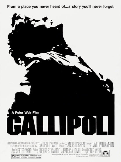 Gallipoli paper poster