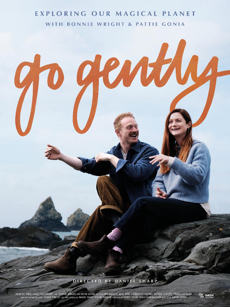 Go Gently paper poster