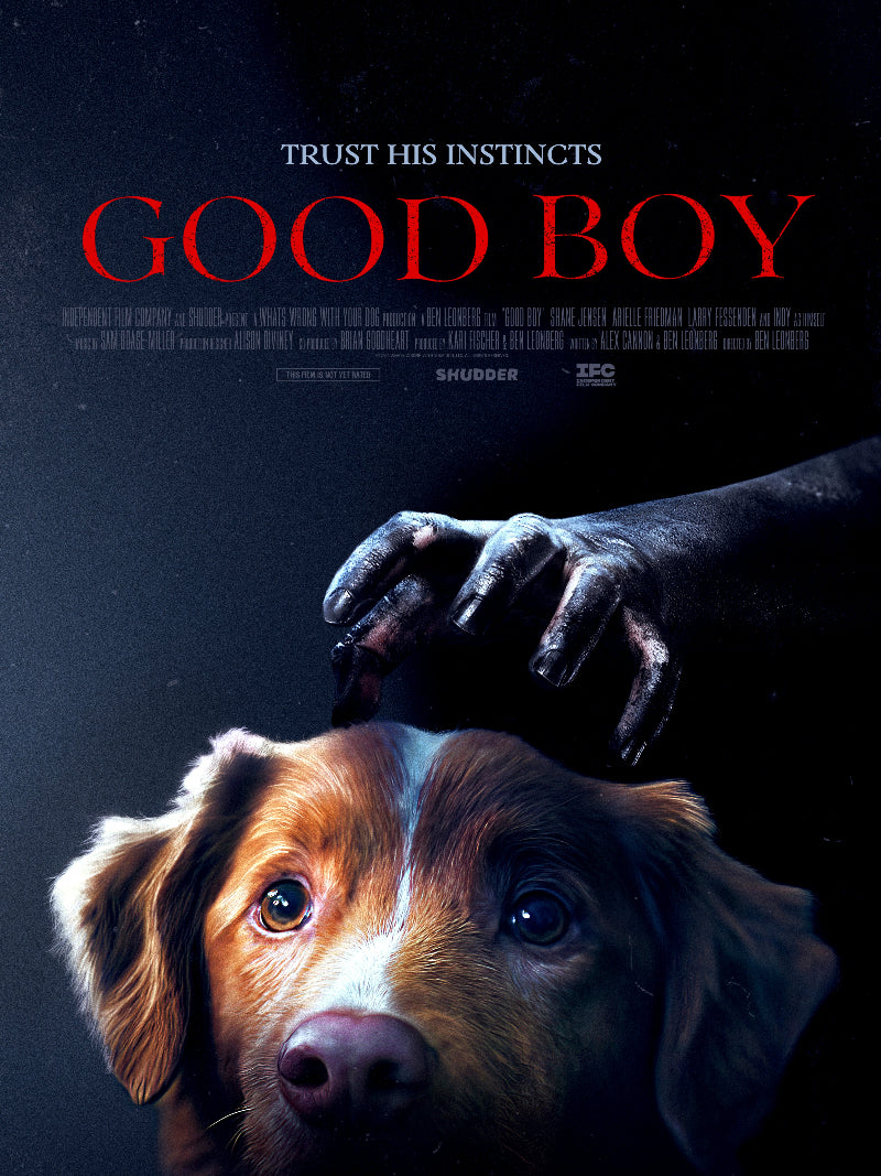 Good Boy paper poster