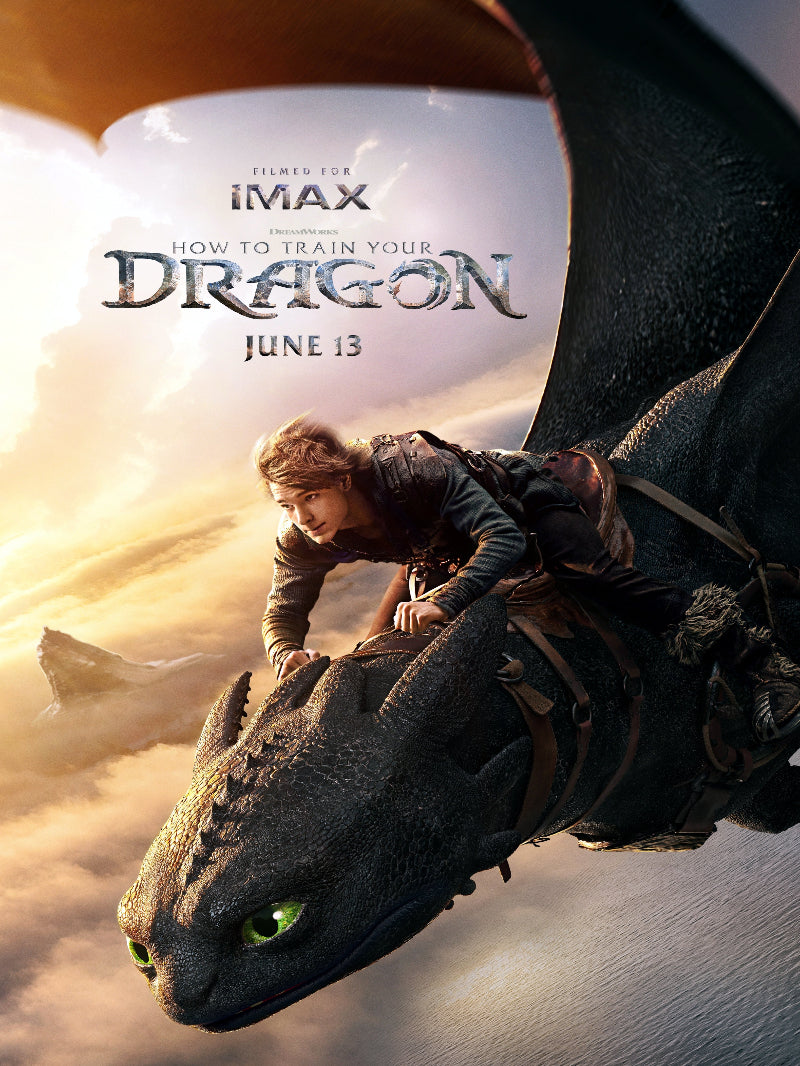How To Train Your Dragon paper poster