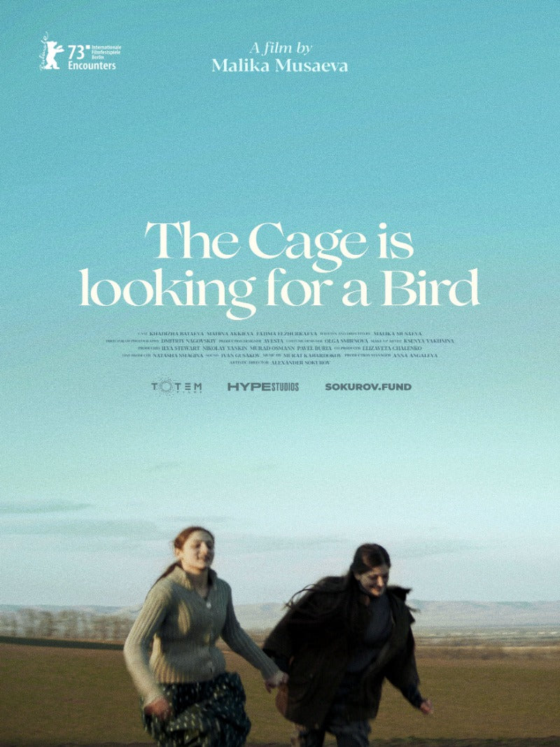 The Cage is Looking for a Bird - poster