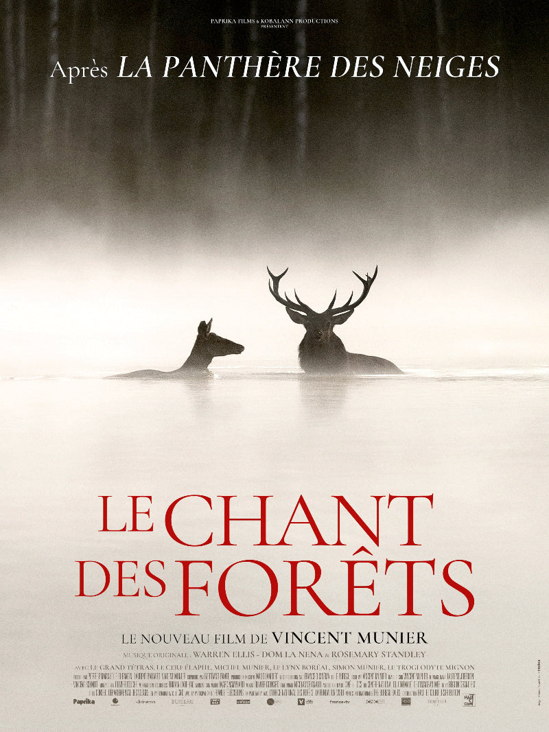 Le Chant des forets paper poster