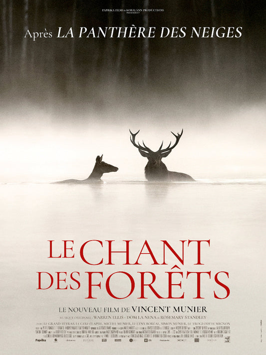 Le Chant des forets paper poster