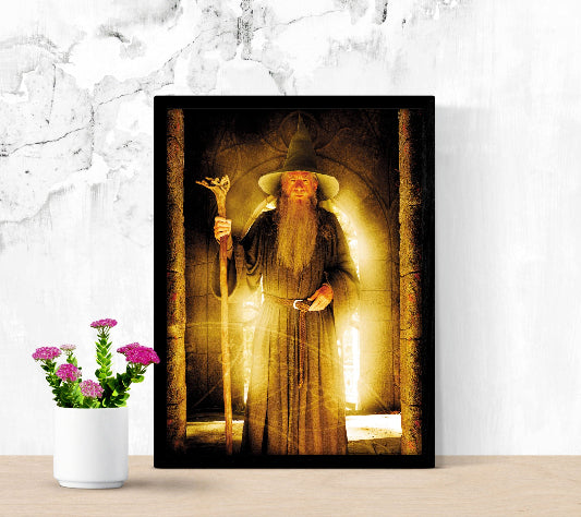 The Lord of the Rings The Fellowship of The Ring framed poster