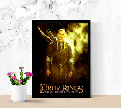 The Lord of the Rings The Fellowship of The Ring framed poster