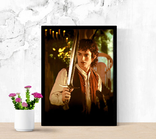 The Lord of the Rings The Fellowship of The Ring framed poster