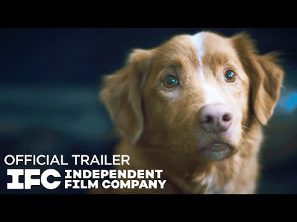 Good Boy trailer