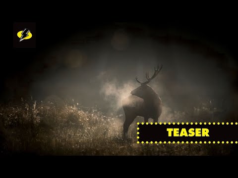 Le Chant des forets trailer