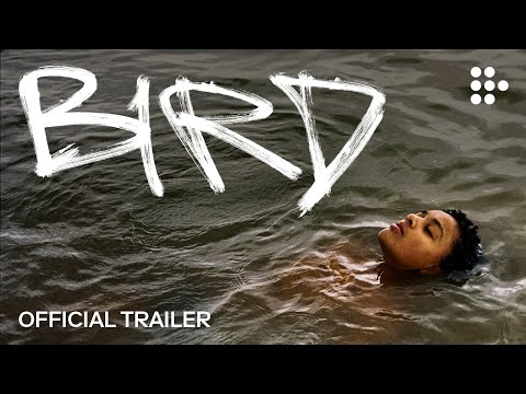 Bird trailer