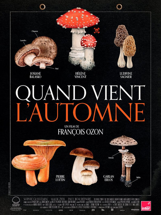 Quand vient l'automne paper poster