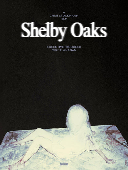 Shelby Oaks paper poster