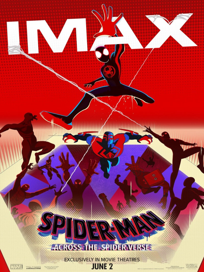 Spider Man Across The Spider Verse - poster