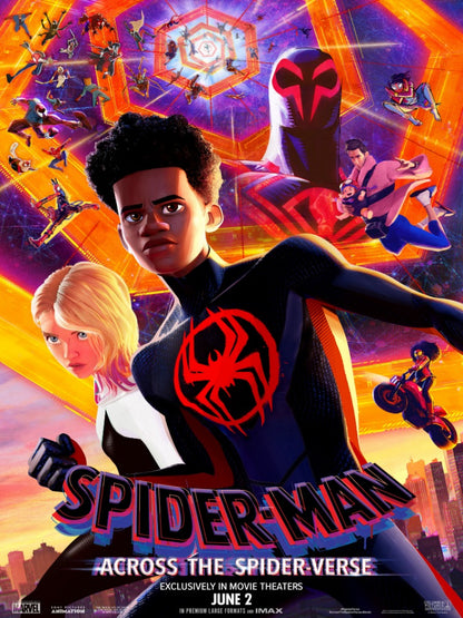 Spider Man Across The Spider Verse - poster