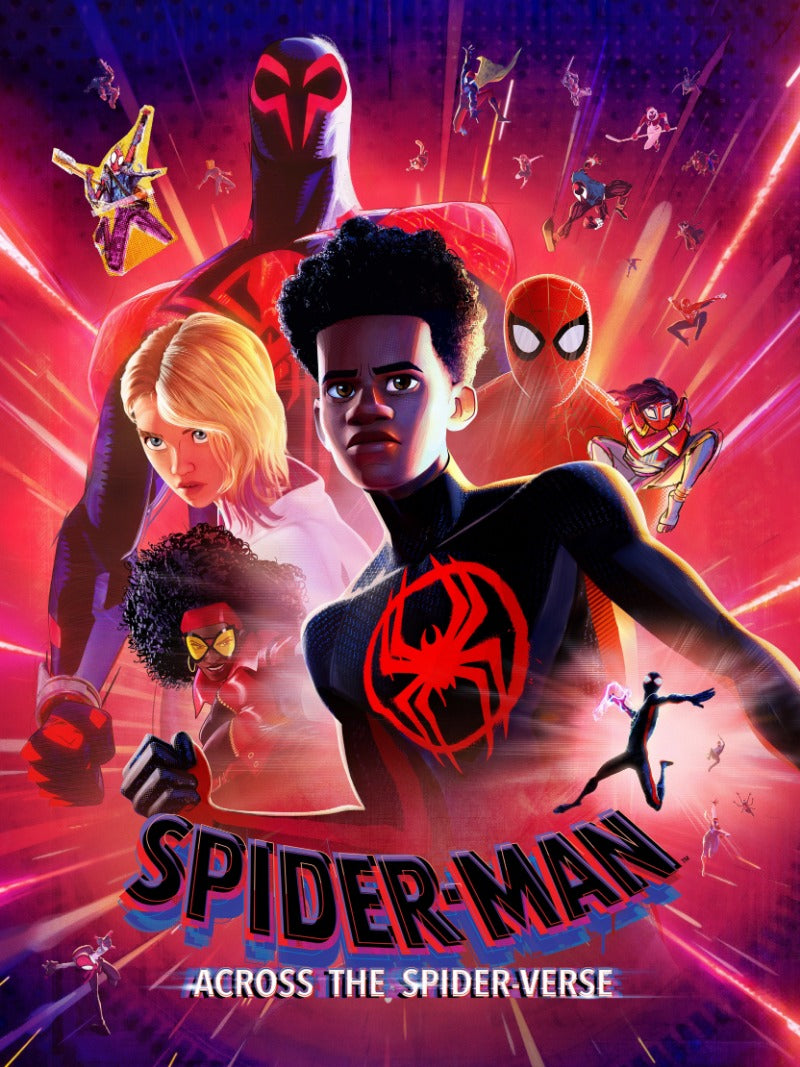 Spider Man Across The Spider Verse - poster