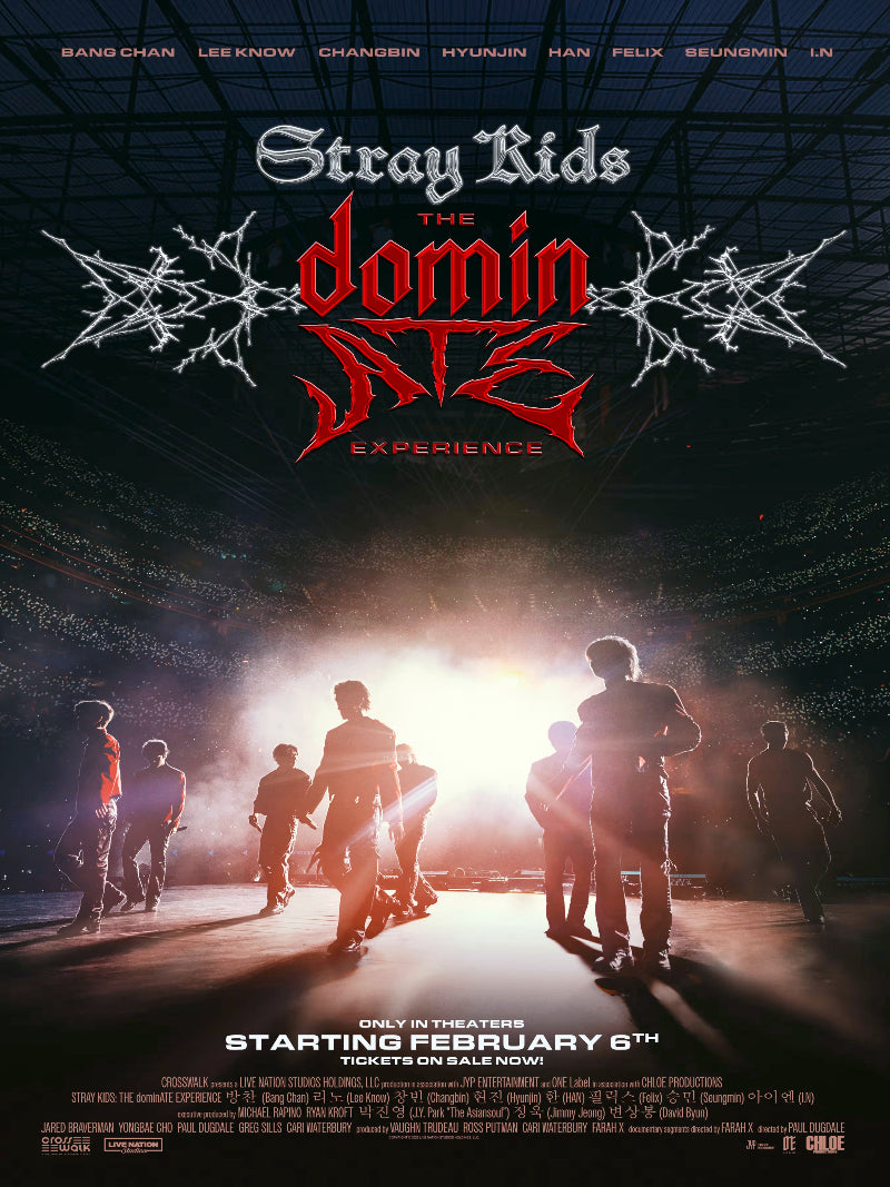 Stray Kids The Dominate Experience paper poster