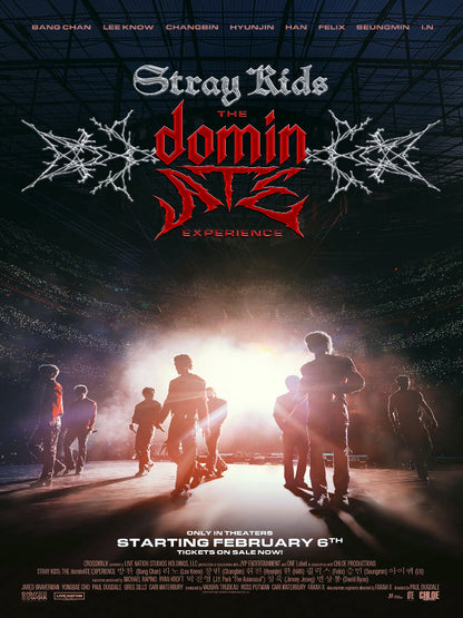 Stray Kids The Dominate Experience paper poster