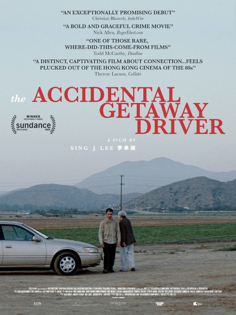 The Accidental Getaway Driver - poster