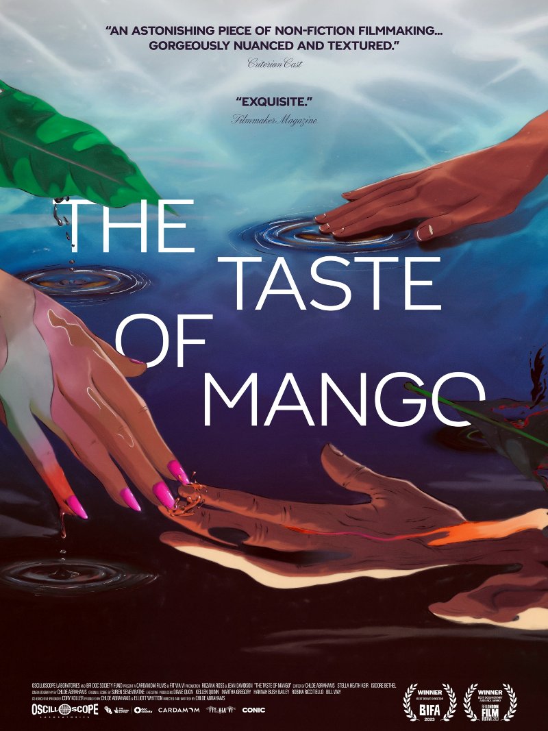 The Taste of Mango paper poster